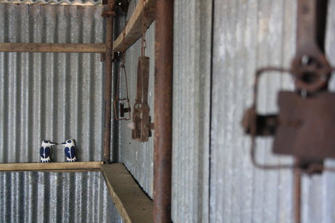 Rabbiters Hut - Accommodation 4U 11