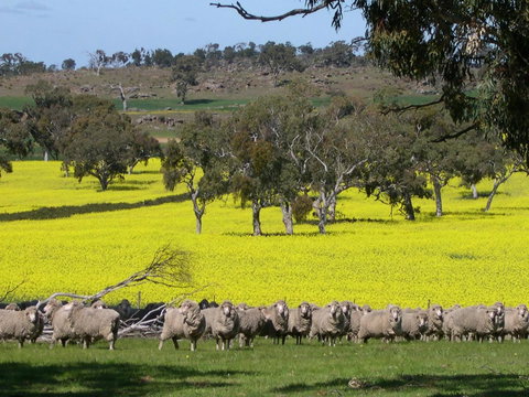 Rabbiters Hut - Accommodation 4U 16