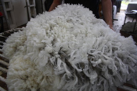 Rabbiters Hut - Accommodation 4U 20