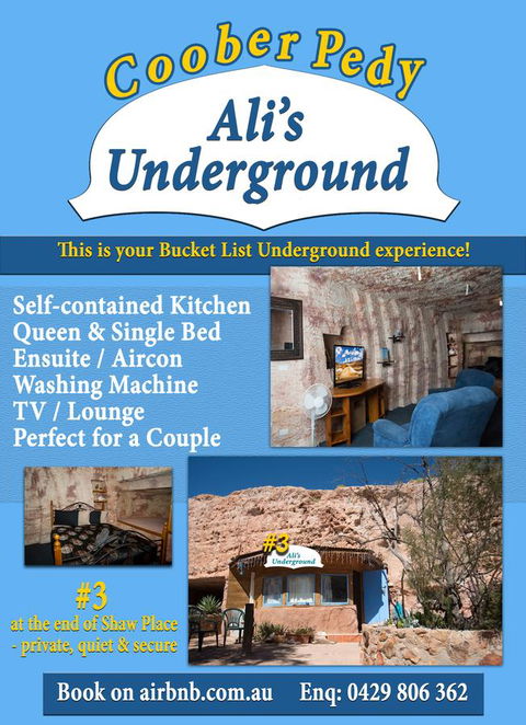 Ali\'s Underground Studio - Accommodation 4U 12