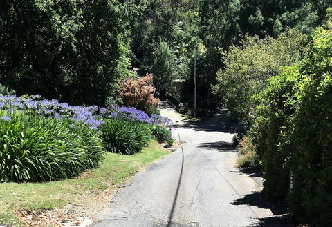 Hilltop - Accommodation 4U 2