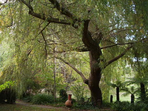 Hilltop - Accommodation 4U 14