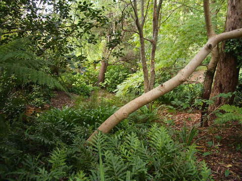 Hilltop - Accommodation 4U 17