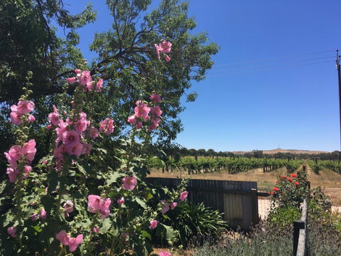 Amy\'s House Bed & Breakfast - Accommodation 4U 29