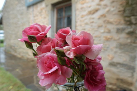 Amy\'s House Bed & Breakfast - Accommodation 4U 30