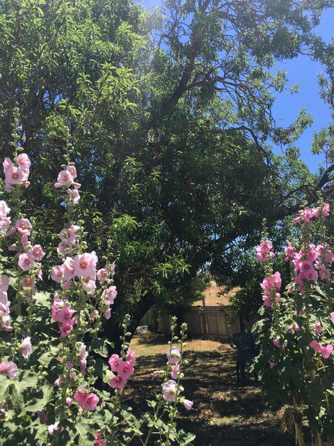 Amy\'s House Bed & Breakfast - Accommodation 4U 37