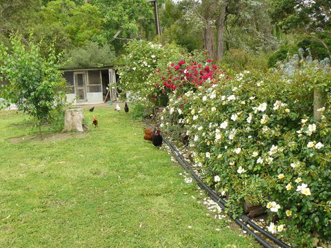 Camawald Coonawarra Cottage B&B - Accommodation 4U 3