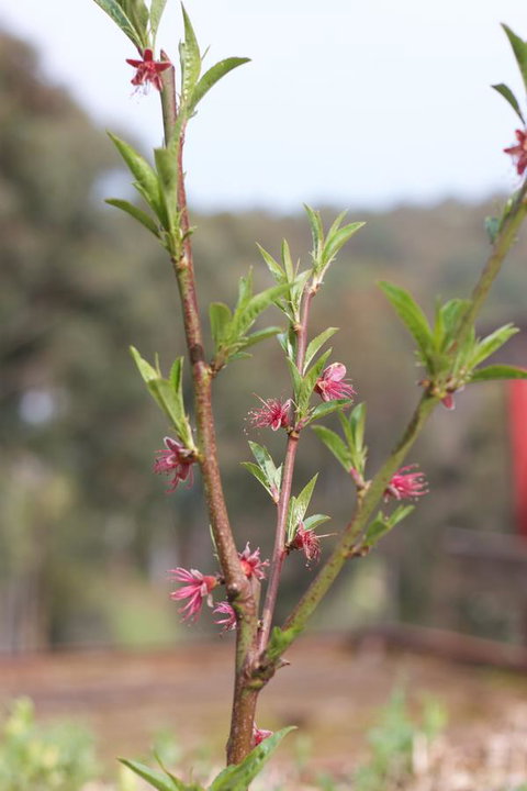 Longwood Retreat - Accommodation 4U 32