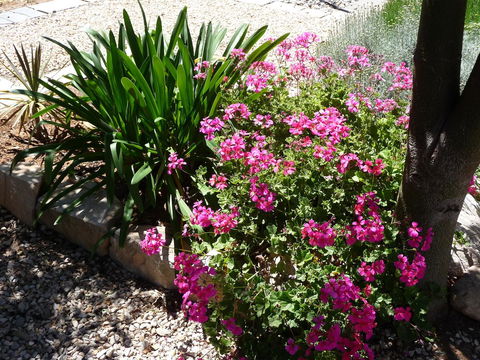 Country Bakehouse Accommodation - Accommodation 4U 18