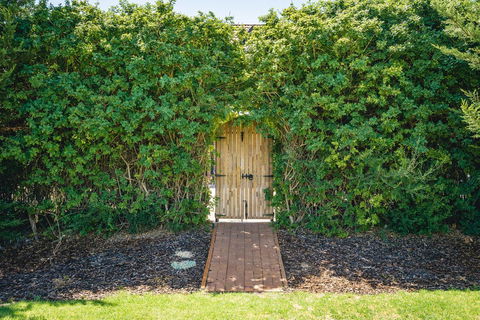 Mick O\'Sheas - Accommodation 4U 32