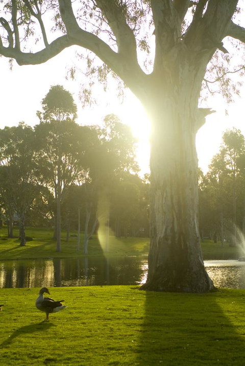 Serafino McLaren Vale - Accommodation 4U 15