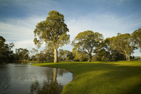 Serafino McLaren Vale - Accommodation 4U 16