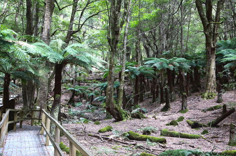 Wallace Lodge - PID-STRA-16871 - Accommodation 4U 11