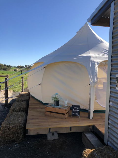 Bukirk Glamping & Fancy Coops - Accommodation 4U 11
