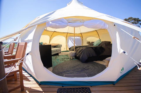 Bukirk Glamping & Fancy Coops - Accommodation 4U 14