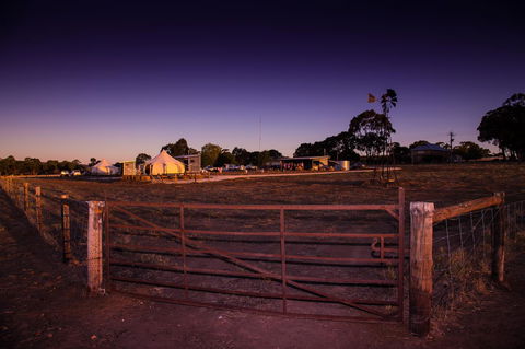 Bukirk Glamping & Fancy Coops - Accommodation 4U 33