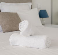 Ther-Rich Elegant 1BR Apartment in Walkerville - Accommodation 4U