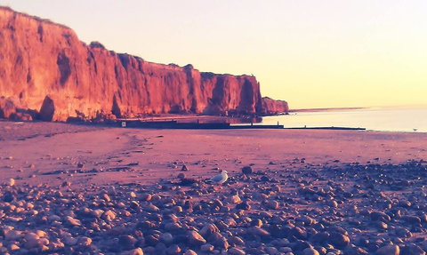 Ardrossan Caravan Park - Accommodation 4U 31