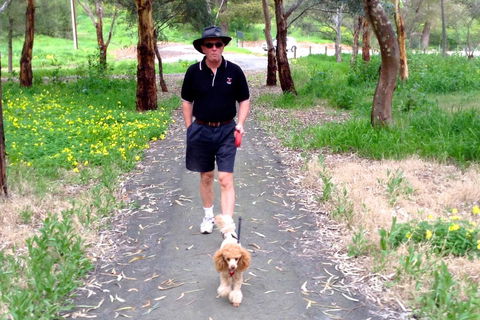 Clare Valley Cabins - Accommodation 4U 34