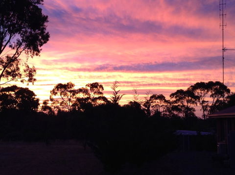 Clare Valley Cabins - Accommodation 4U 8