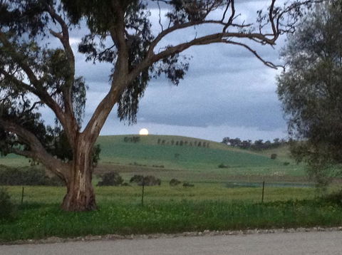Clare Valley Cabins - Accommodation 4U 10