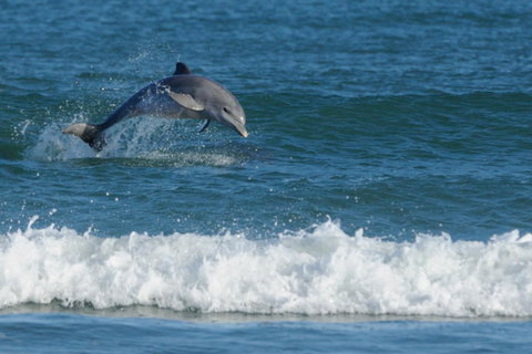 SummerHills Retreat Byron Bay - Accommodation 4U 25