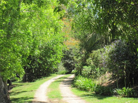 SummerHills Retreat Byron Bay - Accommodation 4U 33