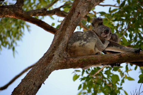 SummerHills Retreat Byron Bay - Accommodation 4U 36