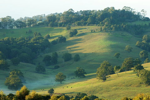 SummerHills Retreat Byron Bay - Accommodation 4U 20