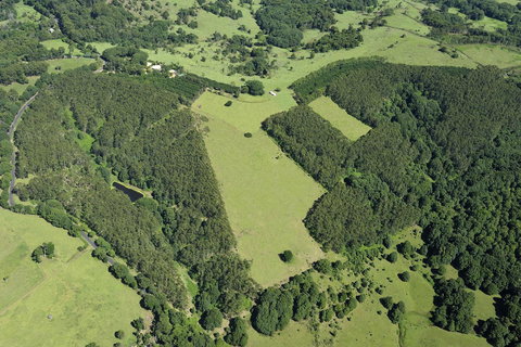 SummerHills Retreat Byron Bay - Accommodation 4U 19