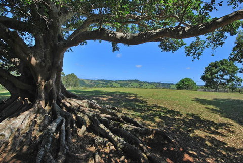 SummerHills Retreat Byron Bay - Accommodation 4U 8