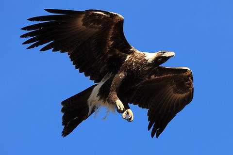 Eagles Range - Accommodation 4U 16