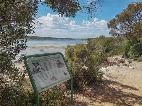 Willygunyah - Accommodation 4U 31