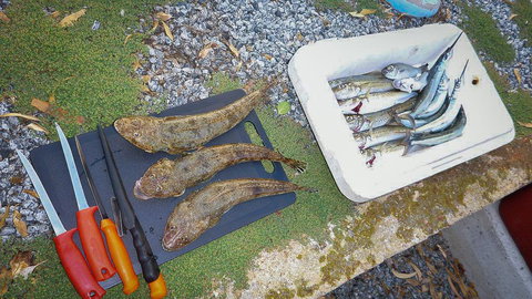 Willygunyah - Accommodation 4U 30