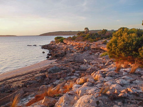 Willygunyah - Accommodation 4U 29