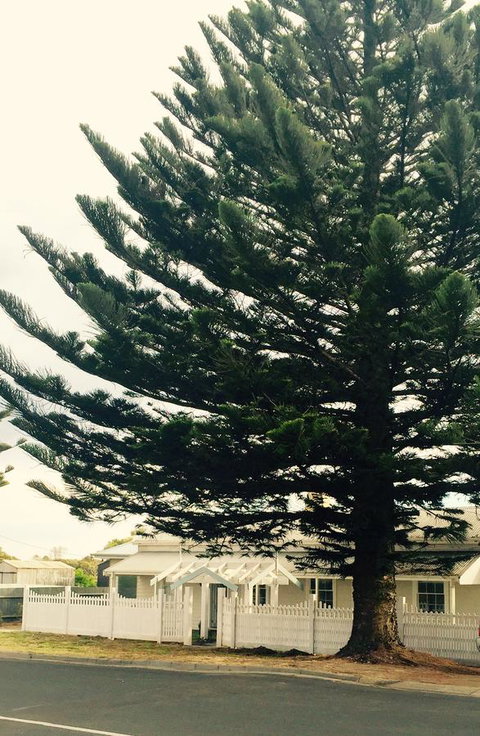 Railway Cottage In Beachport - Accommodation 4U 13