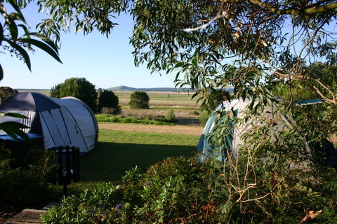 Millicent Hillview Caravan Park - Accommodation 4U 43