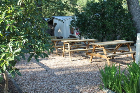 Millicent Hillview Caravan Park - Accommodation 4U 9