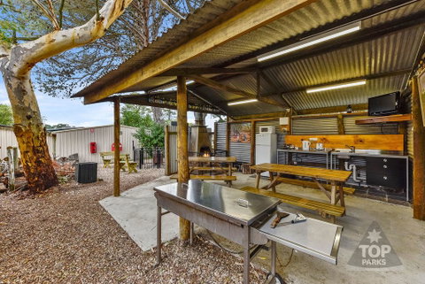 Millicent Hillview Caravan Park - Accommodation 4U 20
