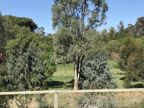 Adagio In Auburn - Accommodation 4U 25