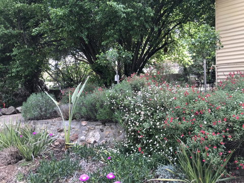 Adagio In Auburn - Accommodation 4U 10