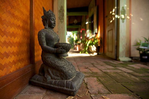 The Lotus Eater - Accommodation 4U 7