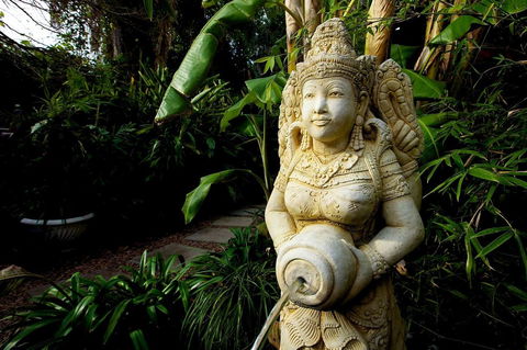 The Lotus Eater - Accommodation 4U 18