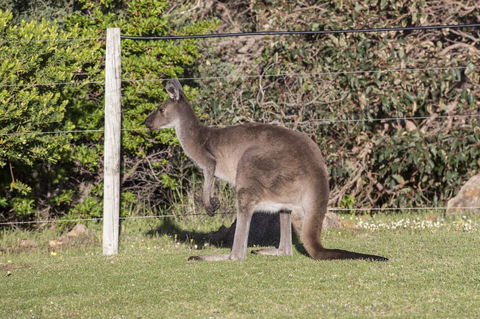 Chandlers Smiths Beach Villas - Accommodation 4U 15