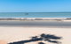 Bay Lodge - thumb 14