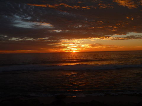 Kanga Cottage - Accommodation 4U 41