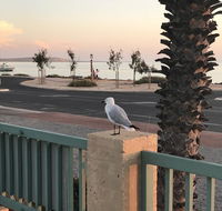 Shark Bay Seafront Apartments - Accommodation 4U