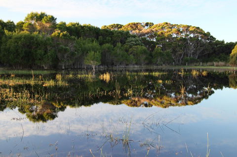 Sapphire Chalets, Augusta - Accommodation 4U 14