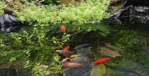 Perth Lake Side Lodge - Accommodation 4U 17