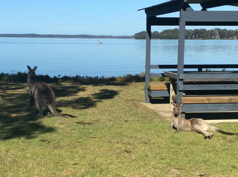 Dungowan Holiday Accommodation - Accommodation 4U 33